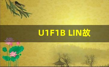 U1F1B LIN故障2,雪铁龙B1808是什么故障